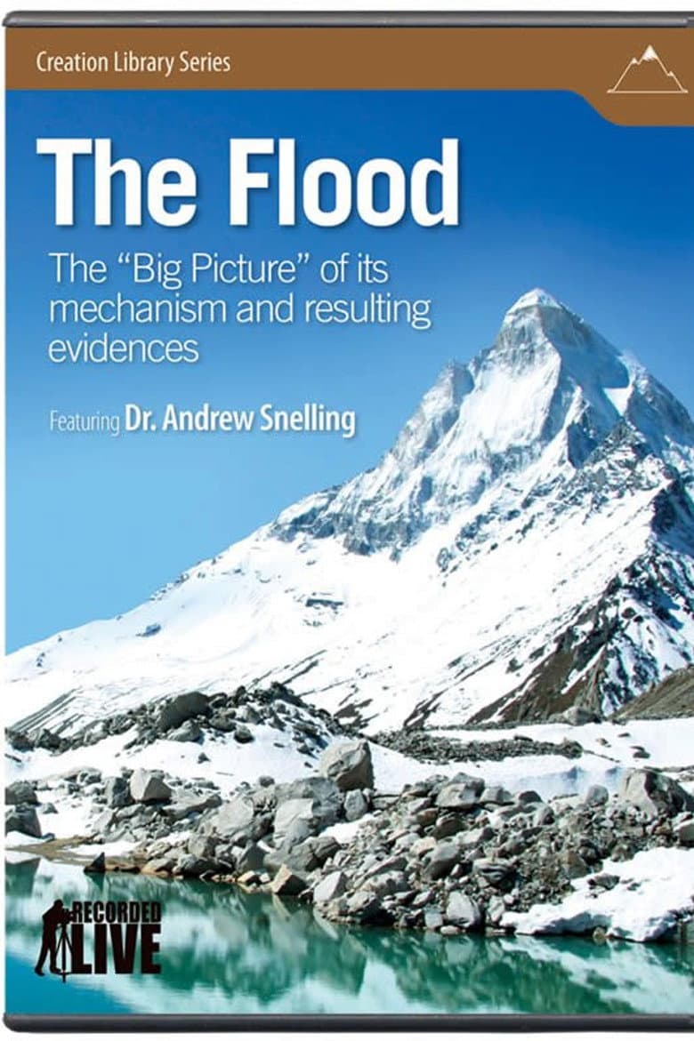The Flood