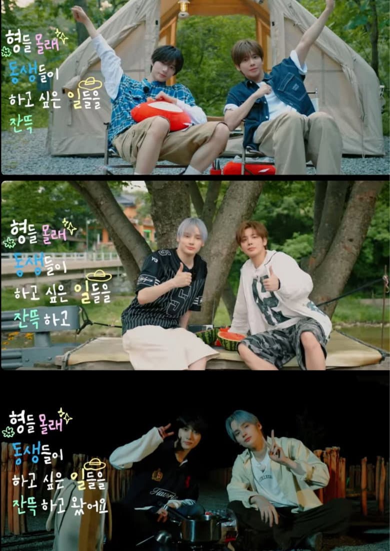 Summer Diary with Dongsaengz