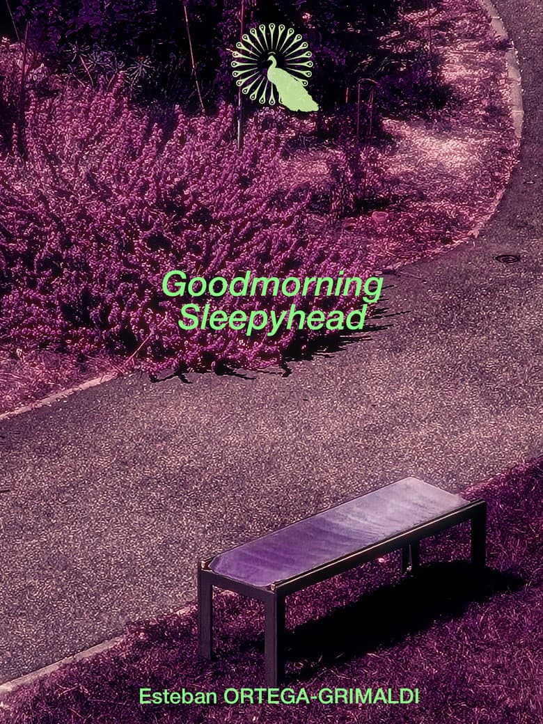 Goodmorning Sleepyhead