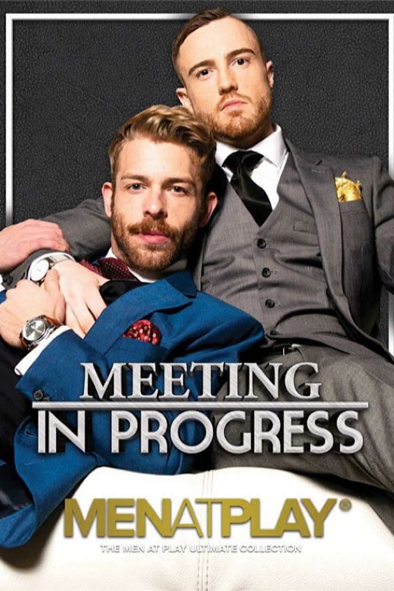 Meeting in Progress