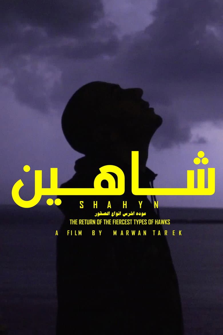 SHAHYN - THE RETURN OF THE FIERCEST TYPES OF HAWKS