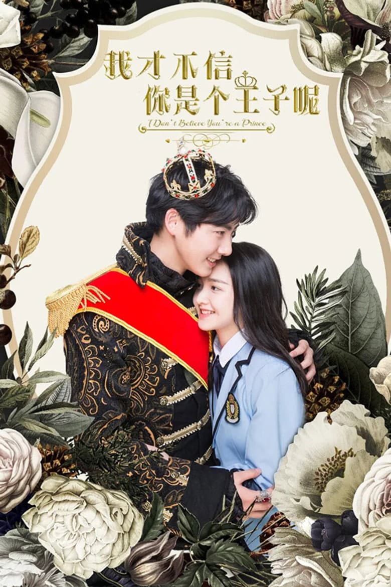 I Don't Believe You're a Prince