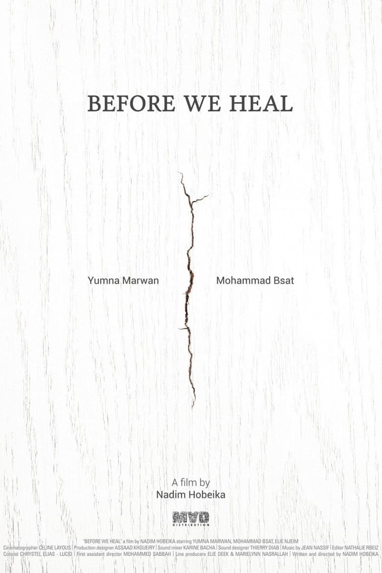 Before We Heal