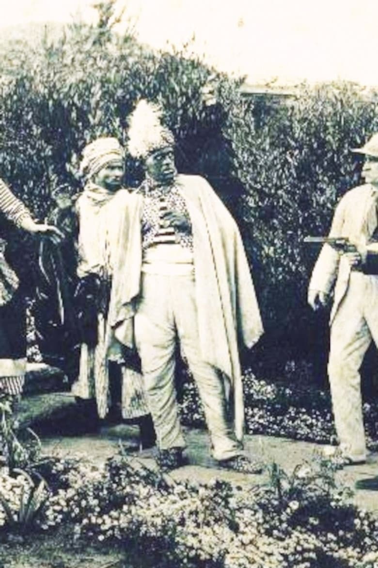 The White Panther
