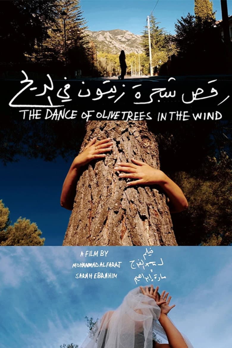 The Dance of Olive Trees in the Wind