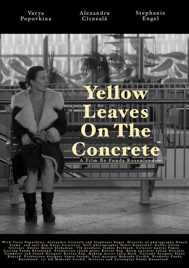 Yellow leaves on the concrete