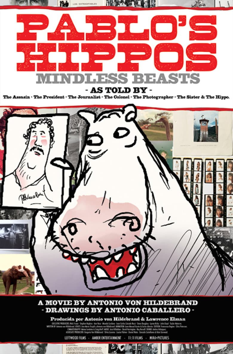 Pablo's Hippos