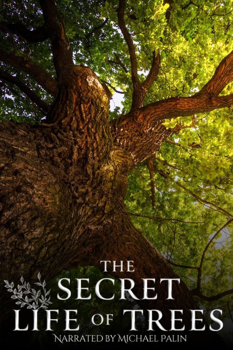 The Secret Life of Trees