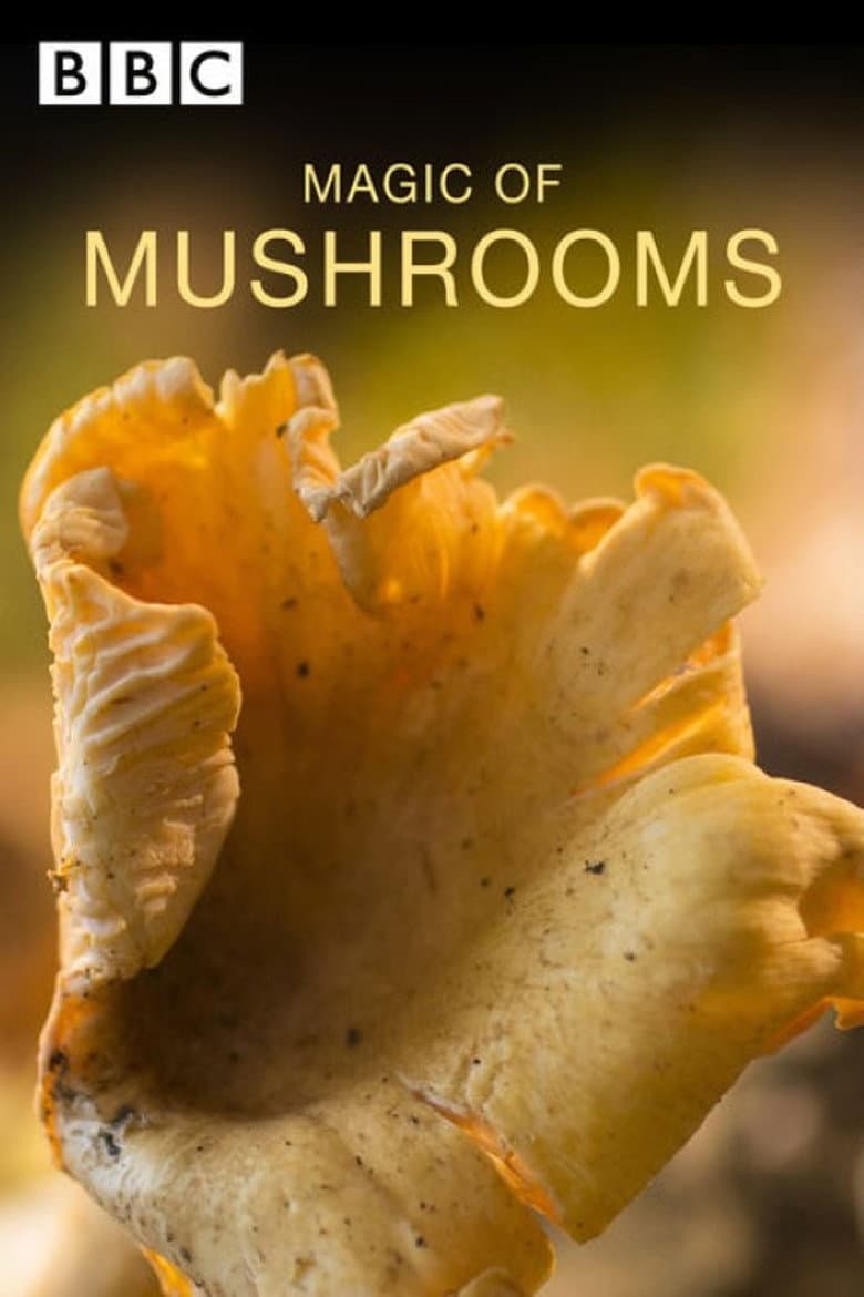 The Magic of Mushrooms