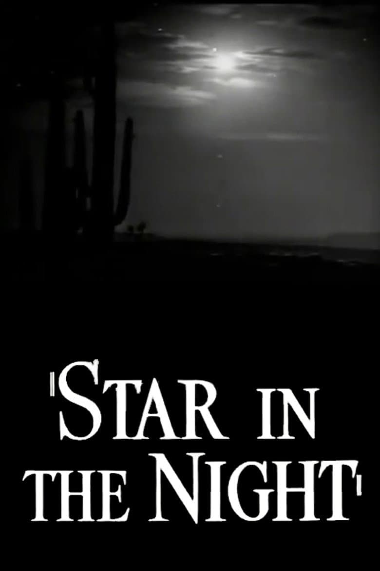 Star in the Night