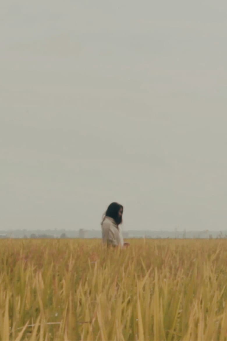 The Lost Piece
