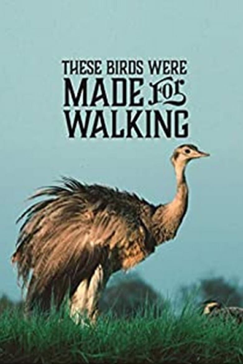 These Birds Were Made for Walking