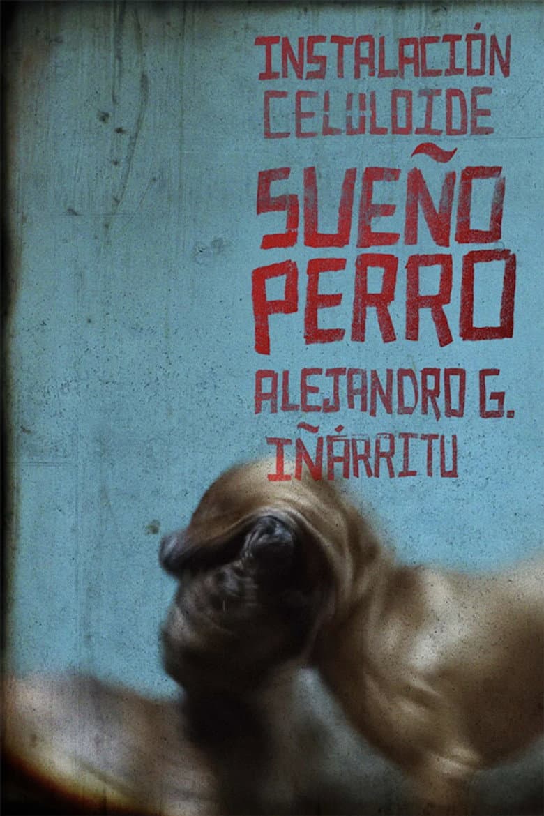 Sueño Perro