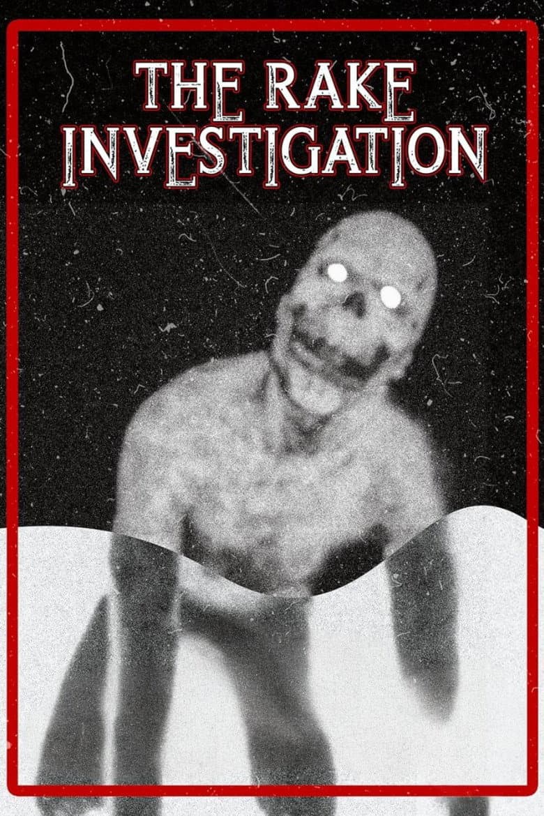 The Rake Investigation