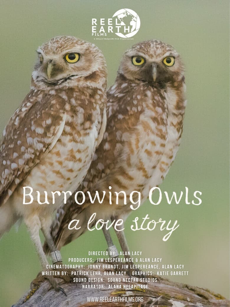 Burrowing Owls: A Love Story