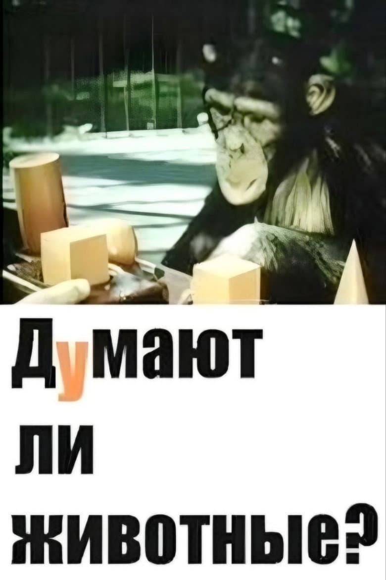 Do Animals Think?