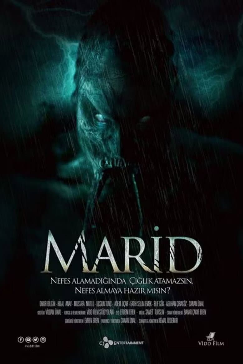 Marid