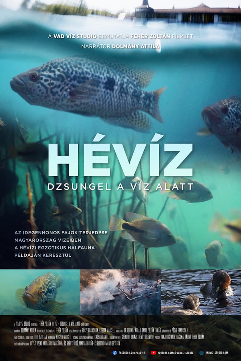 The Underwater Jungle