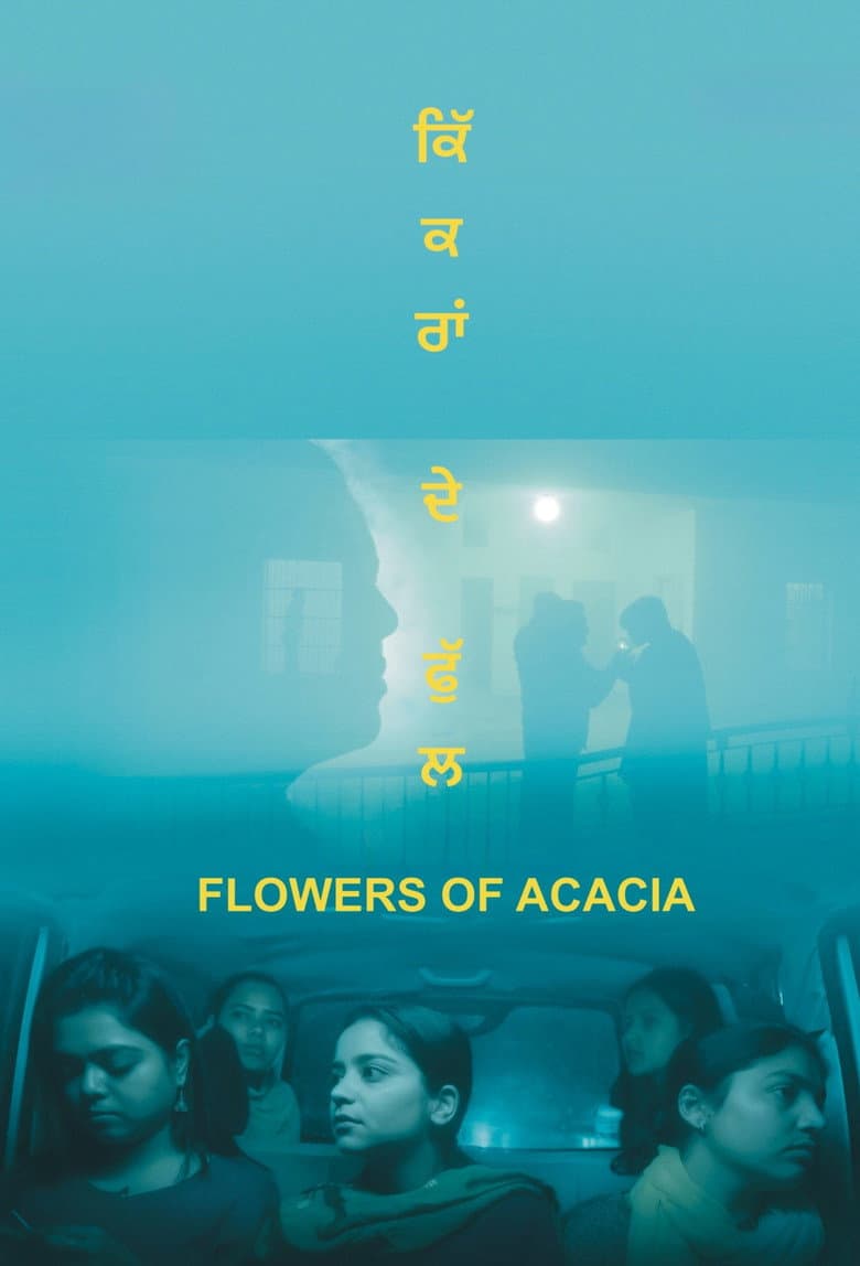 Flowers of Acacia