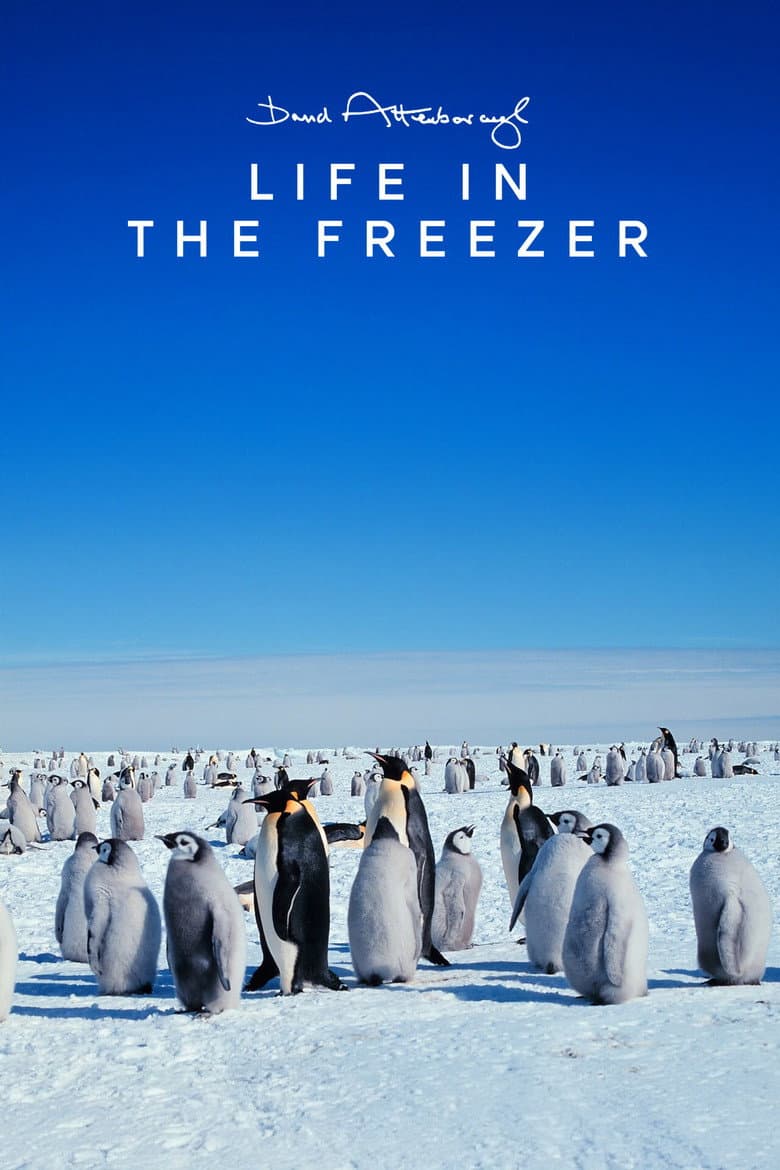 Life in the Freezer