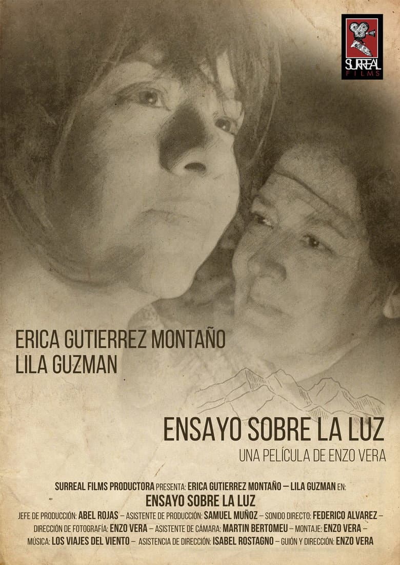 Ensayo Sobre la Luz