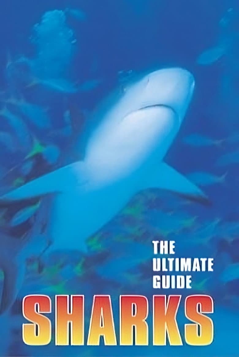The Ultimate Guide: Sharks