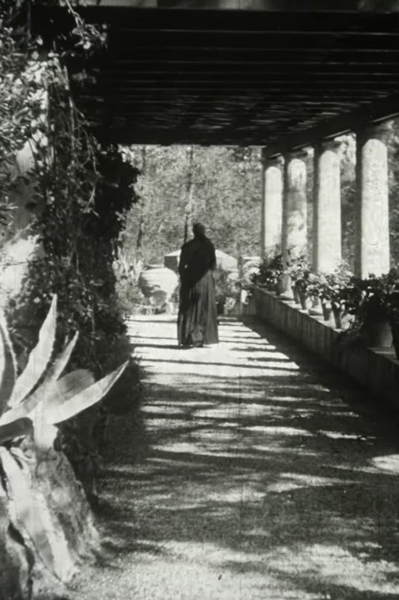 The Servant