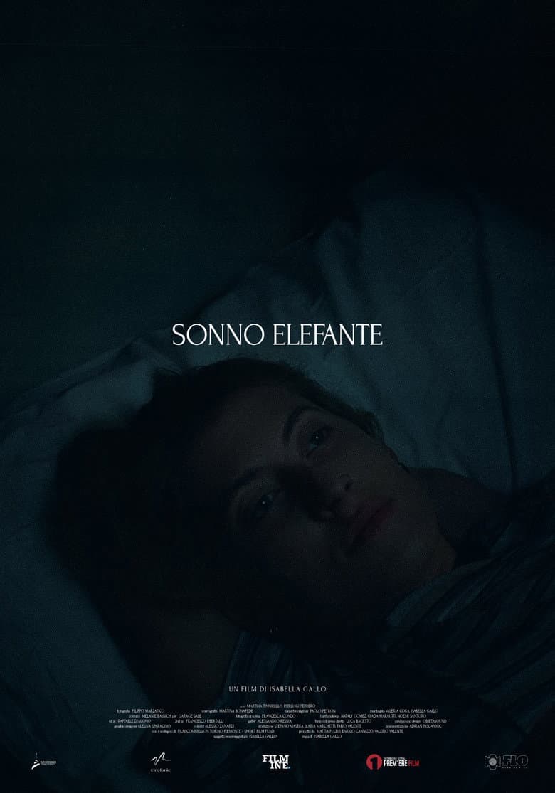 Sonno Elefante