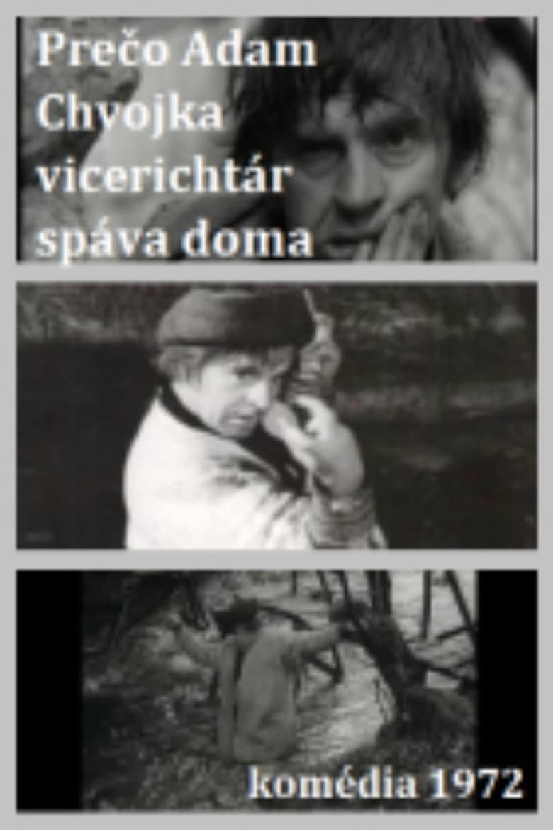 Adam Chvojka vicerichtár