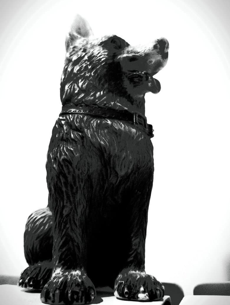 The Dog of Sarandi Alley