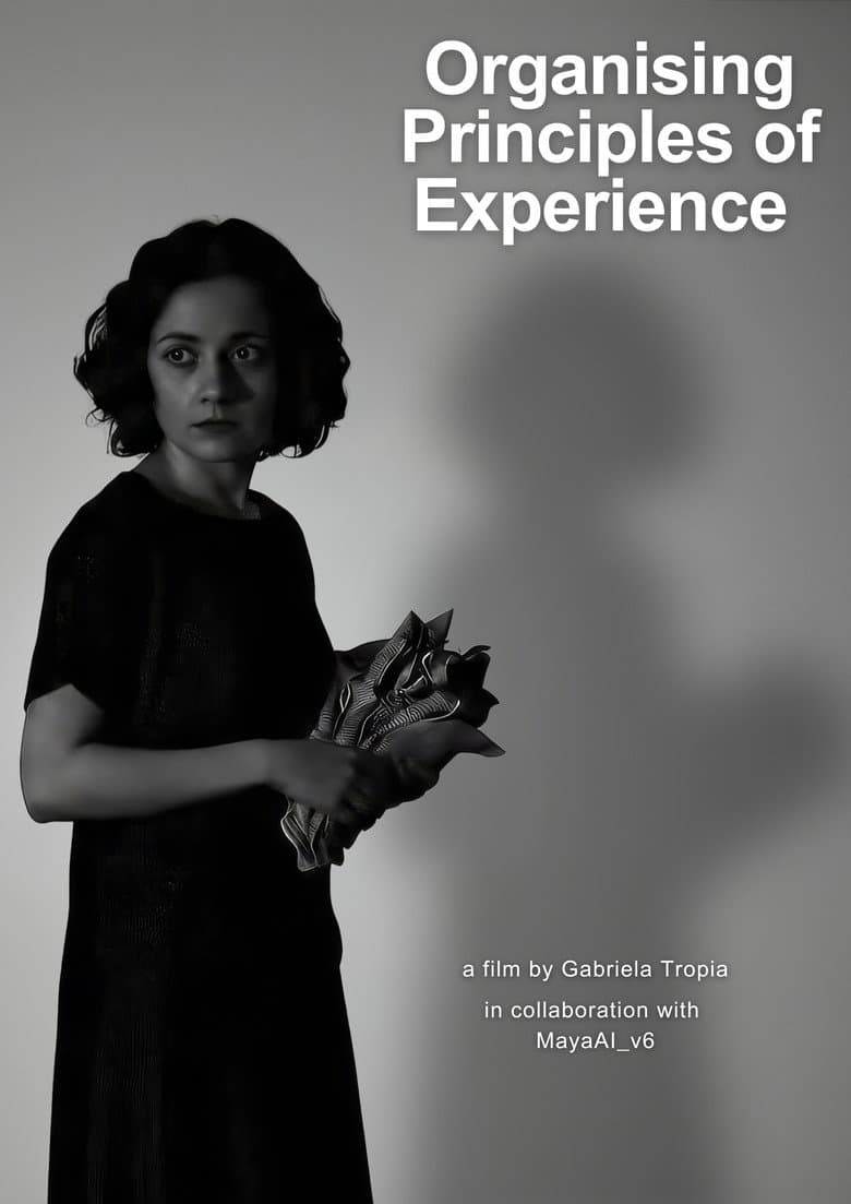 Organising Principles of Experience