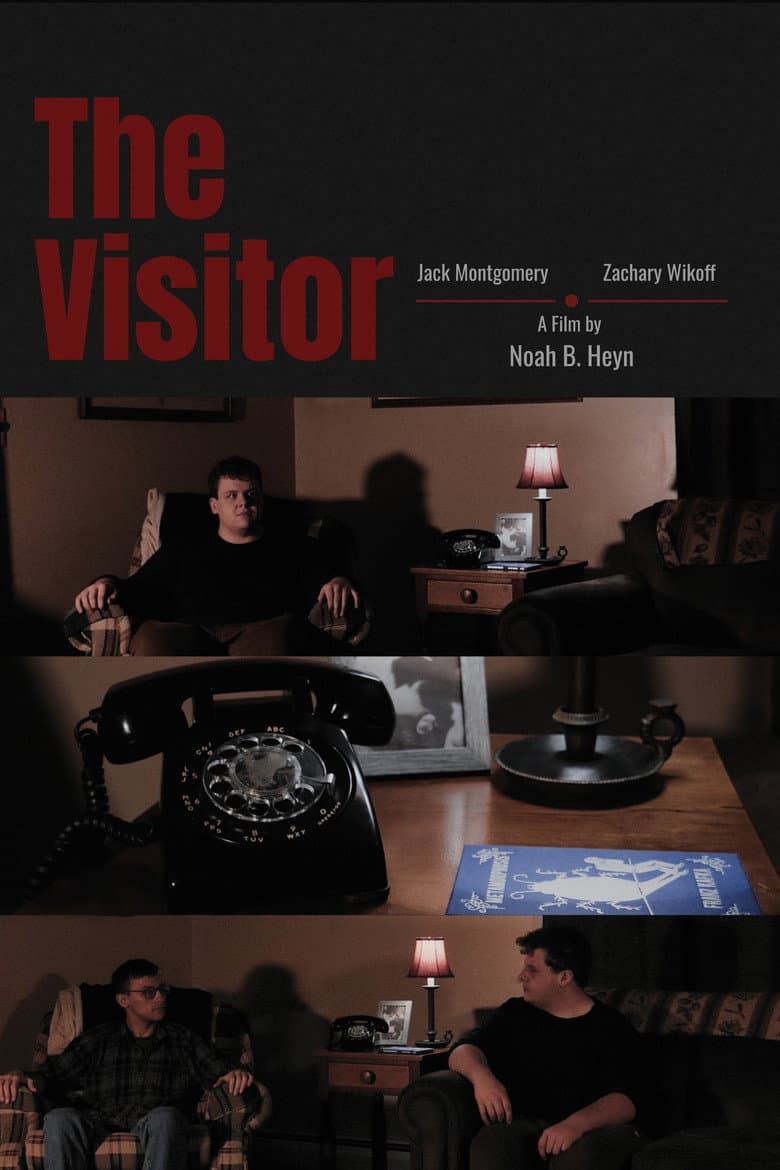 The Visitor