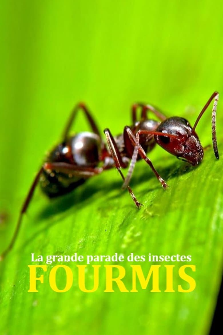 Fabulous Insects - Ants