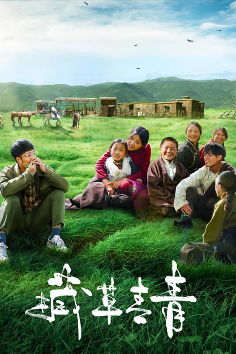Tibetan Grass