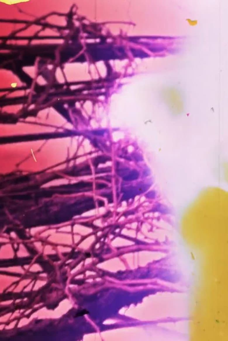 Granular Film - Beirut