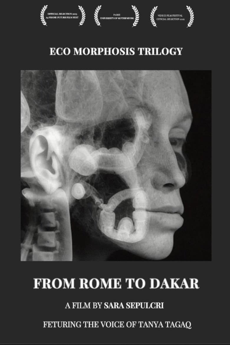 From Rome to Dakar