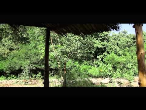 Mudhouse & The Golden Doll (Teaser Trailer 2)