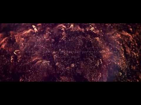 Sundays Teaser #2