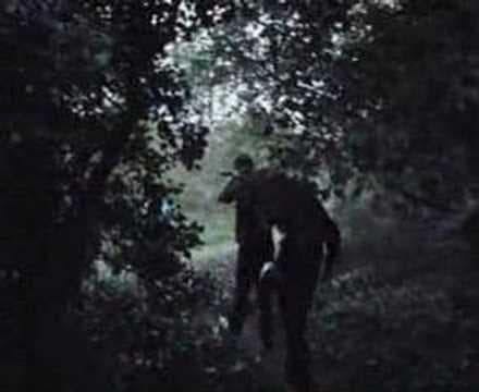 Dark Woods