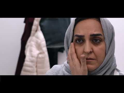 Damp | Trailer