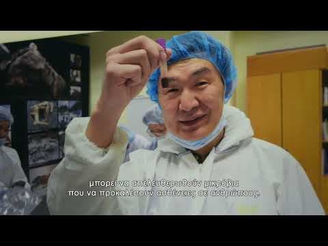 MANKIND'S FOLLY - Official Trailer EL