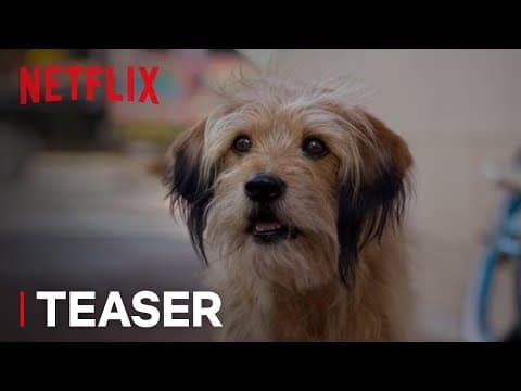 Official Teaser