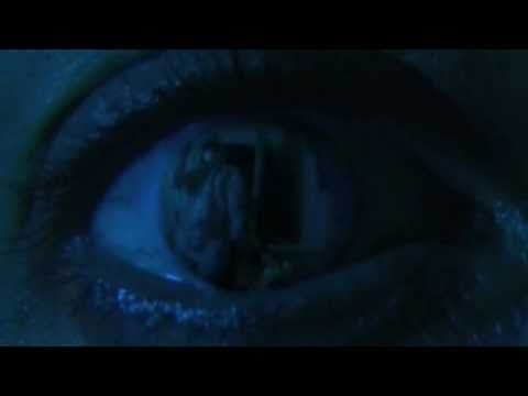 The Stalker Chronicles: Episode Two: Reflections