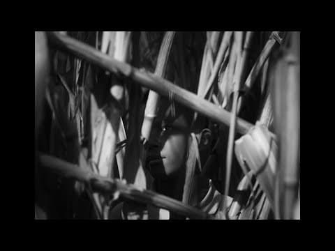 A ÚLTIMA COLHEITA de Nuno Boaventura Miranda (2025) – trailer