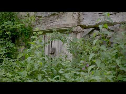 Gniele - Trailer