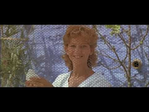 Le Grand carnaval (1983) Bande annonce
