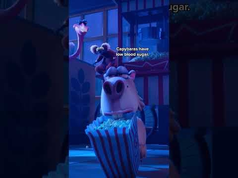 Capybara Meme