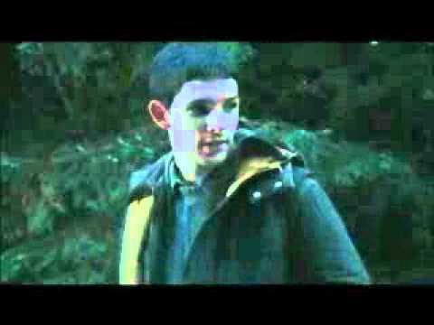 Island Trailer 2011