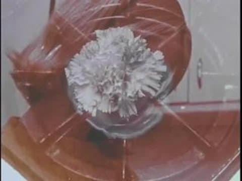 LSD: Insight or Insanity (Max Miller, 1968)