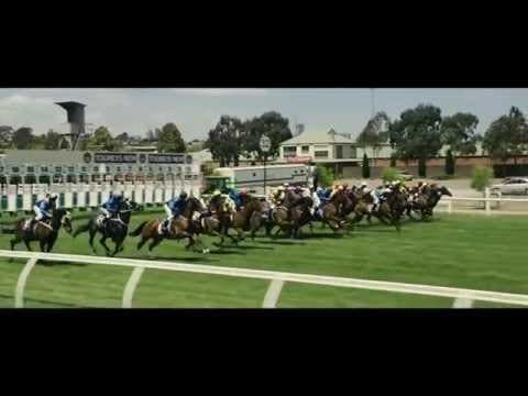 The Cup Trailer
